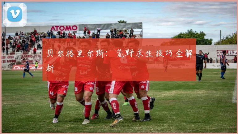 贝尔格里尔斯：荒野求生技巧全解析