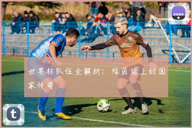 世界杯队伍全解析：绿茵场上的国家传奇
